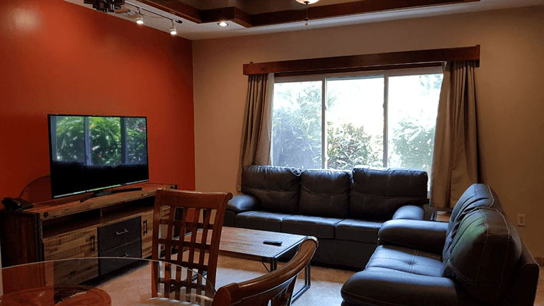 One Bedroom Pool Suite - Living Room with Sofa Bed 