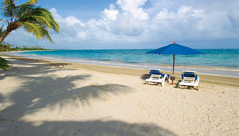 Plage de Coconut Bay