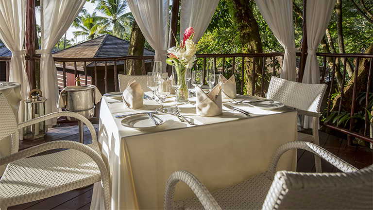 Restaurant Treehouse