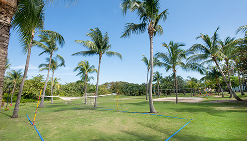 Badminton and volleyball courts