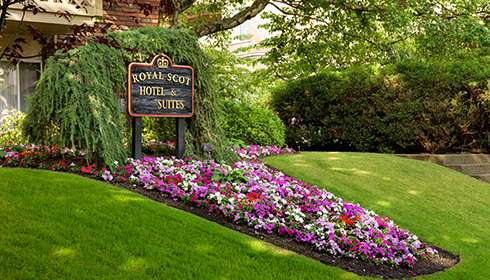 Hotel gardens