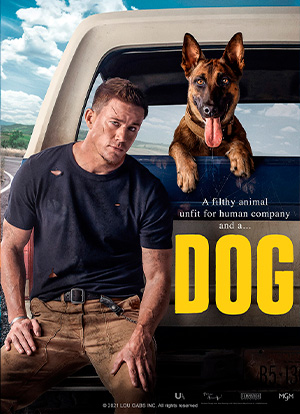 Dog movie 