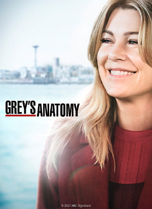 Grey's Anatomy poster 