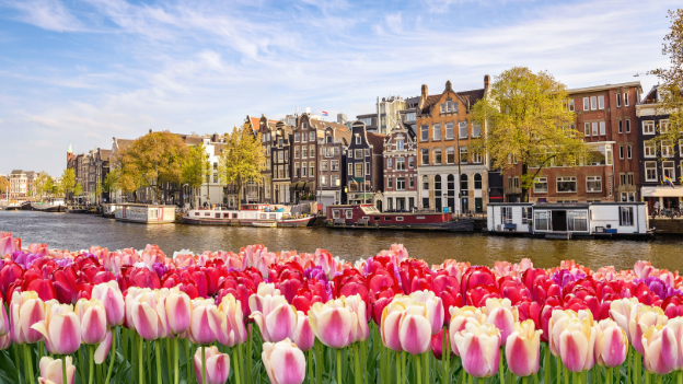 WestJet Returns to Amsterdam