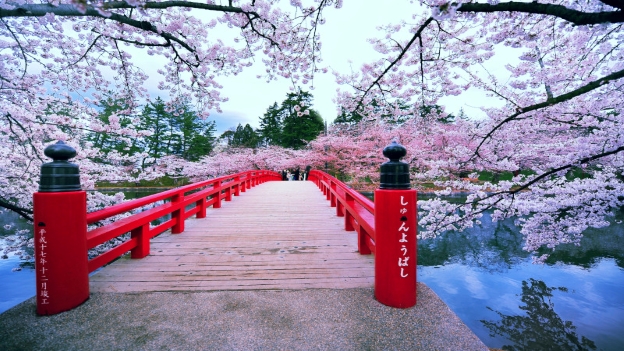 Les invités peuvent maintenant acheter des vols à partir de certaines villes du réseau canadien de WestJet pour Tokyo via Vancouver.