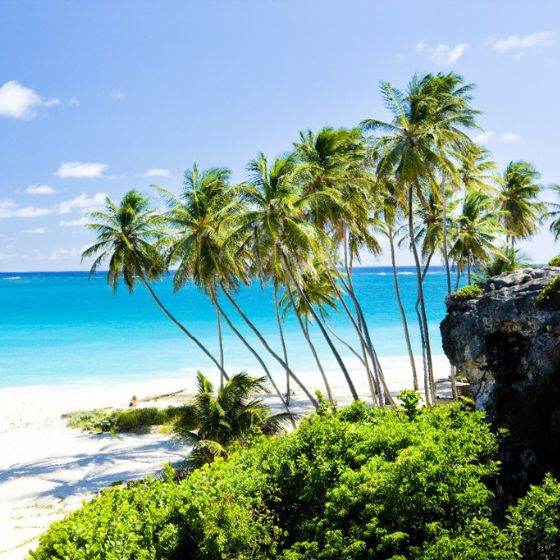 Vue d'une plage dans les Caraïbes