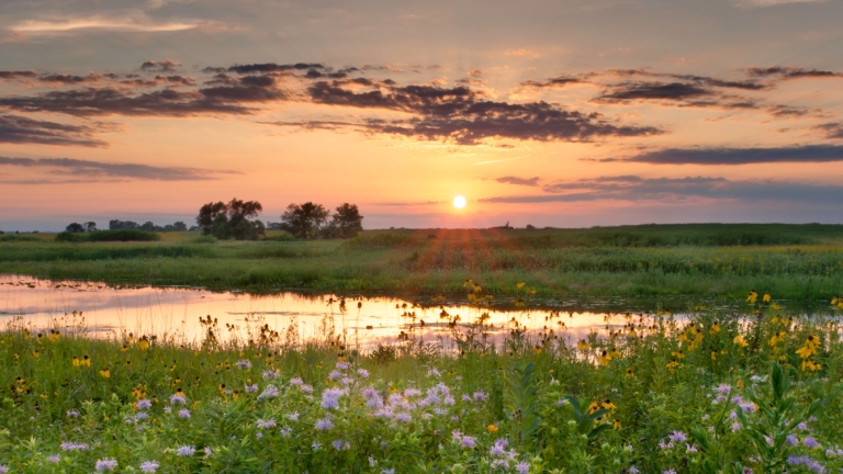 Landscape of sunset in an Illinois field