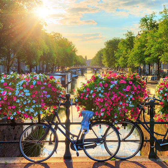 Vélos et fleurs sur un pont à Amsterdam