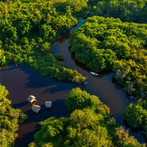 river aerial view Riviera Nayarit