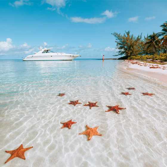 starfish and boat in the shallow waters of the cayman islands