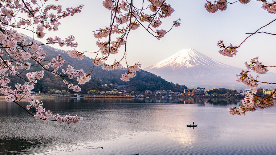 La montagne Sakura sur la rivière Meguro