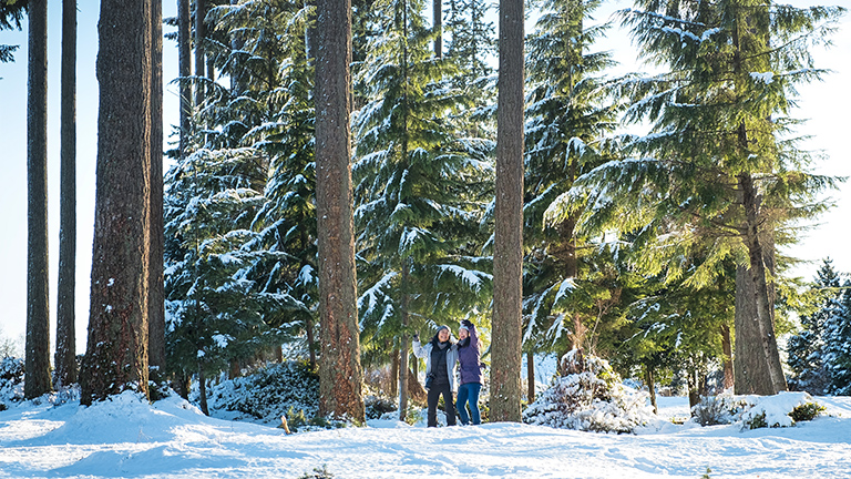 People taking photo in snow covered forest