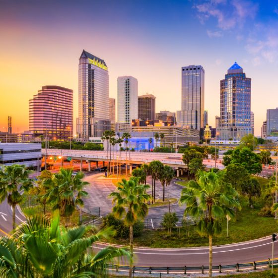 Tampa Bay cityscape view