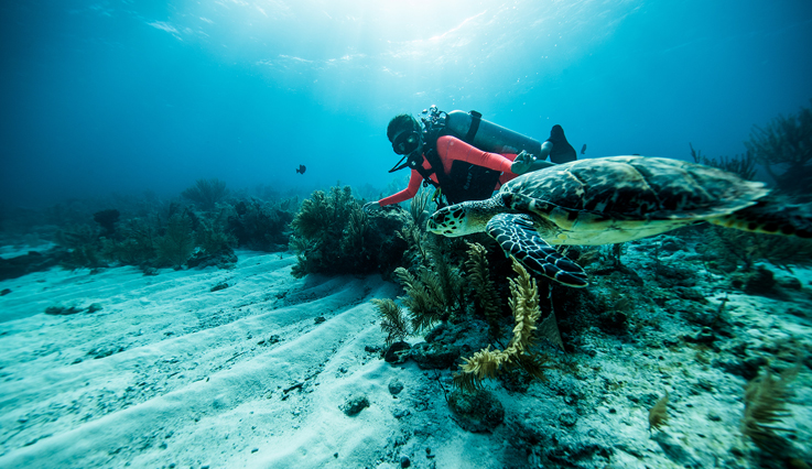 Woman scuba diving with a Turtle in Belize.
