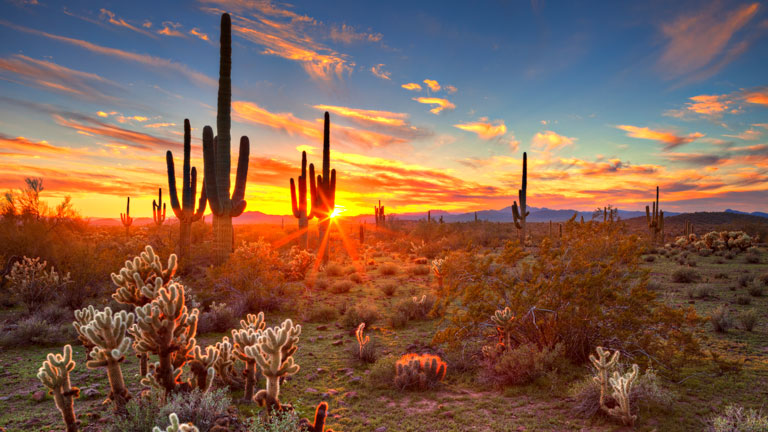 Phoenix sunset view