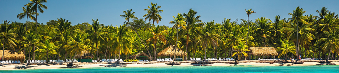 westjet 1 dollar ticket