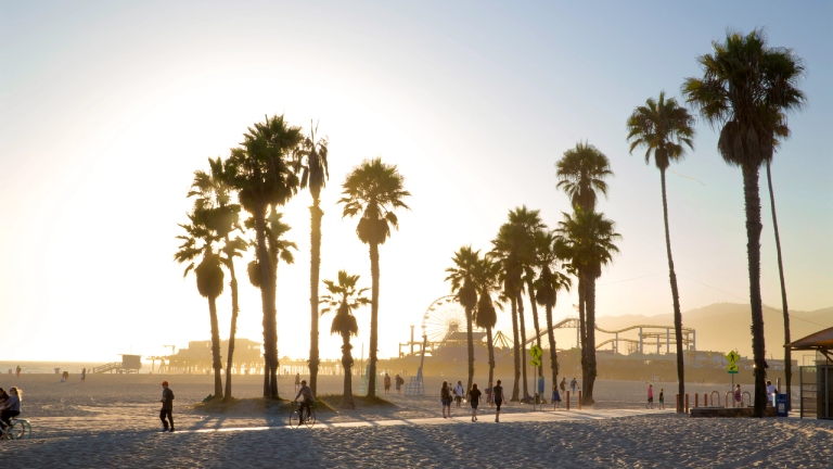 Sunset view of palm trees on Santa Monica beach with pier in background