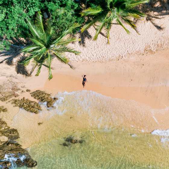 Personne sur une plage à Puerto Vallarta