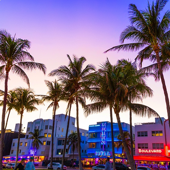 Miami strip at sunset
