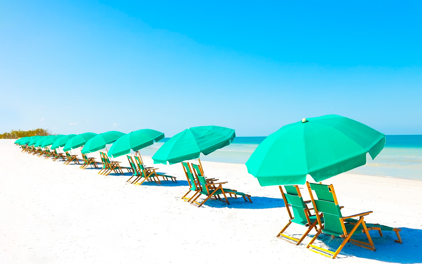 Lounge chairs and umbrellas on beach