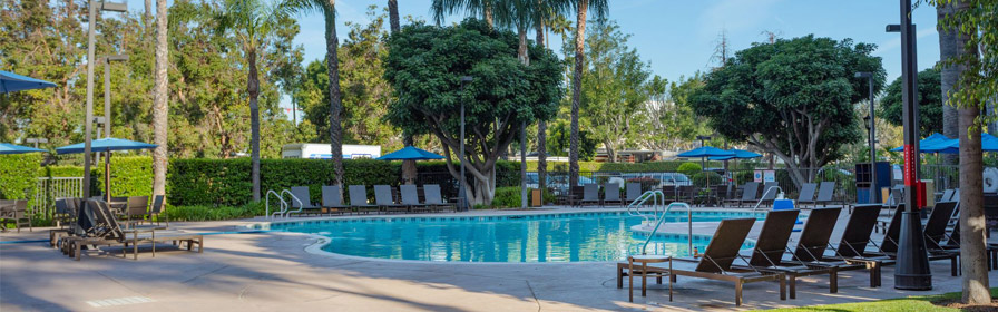 Pool at Sonesta ES Suites Anaheim Resort Area