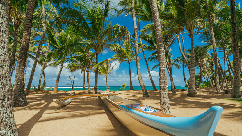 Hawaii Network Winter Schedule